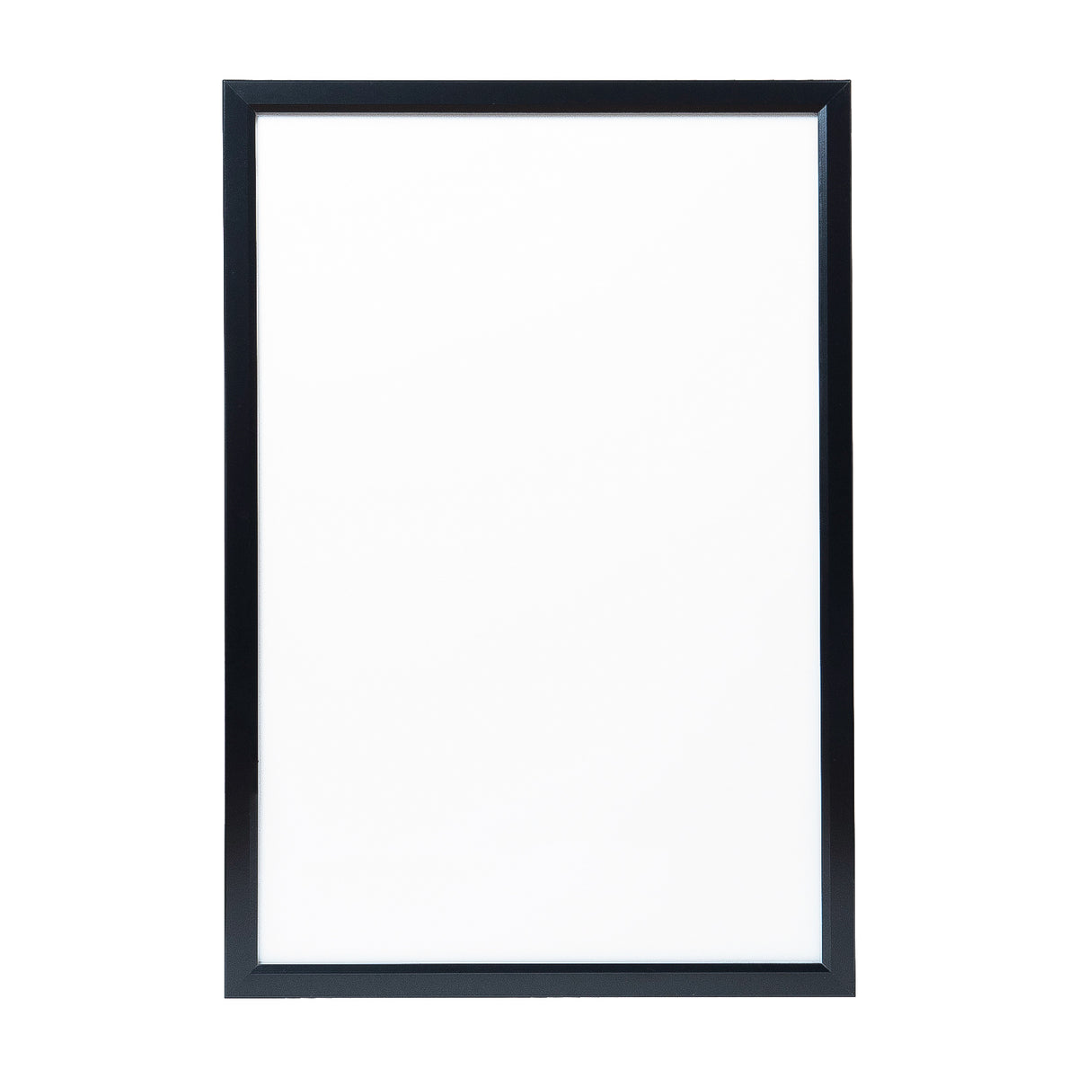 Lenticular/Acrylic LED Light Box Frame (24x36 inches) - Baroque Portfolios